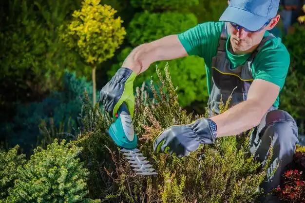 landscaping services Branson West
